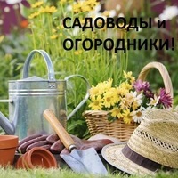 Клуб "Флора"